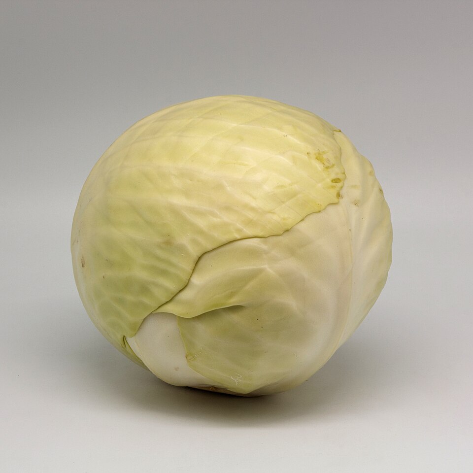 Cabbage