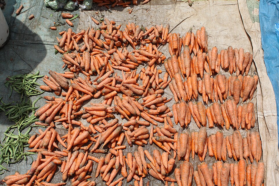 Carrots