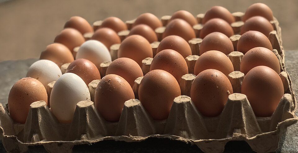 Eggs