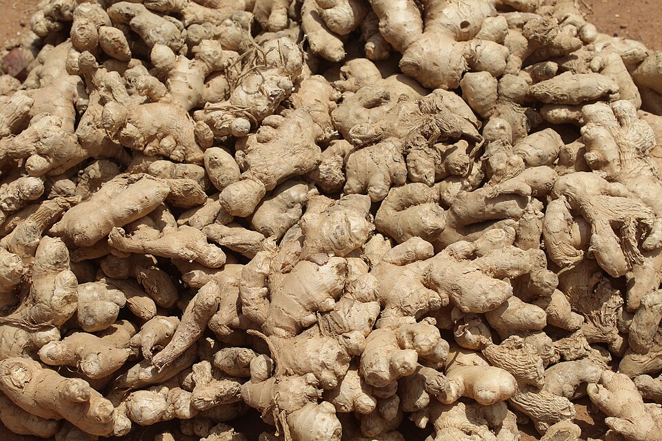Fresh ginger