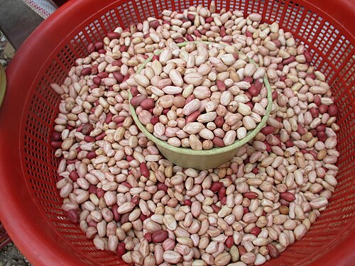 Groundnuts (raw)