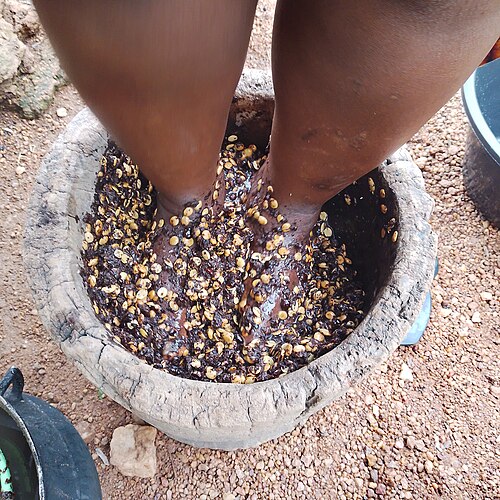 Locust beans