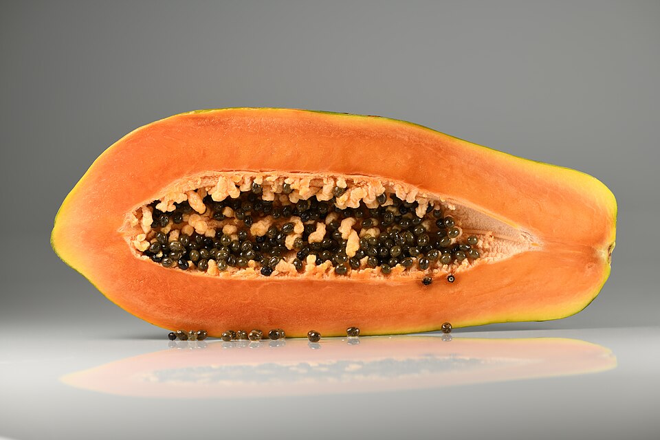 Pawpaw