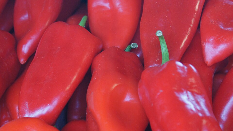 Red bell pepper